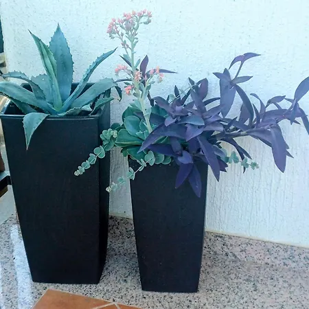 Apartmán Crnci, Buzet, Istra