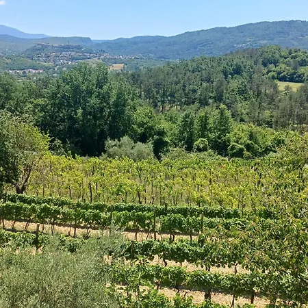 Crnci, Buzet, Istra Strped